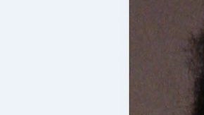 Alonzo Brown había sido arrestado anteriormente por robo y posesión de arma de fuego.