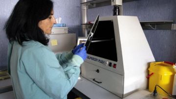 La científica Paz Sánchez-Seco, investigadora responsable del Laboratorio de Arbovirus y Enfermedades Víricas Importadas de dicho centro, donde se trabaja con las muestras de afectados por el virus del ébola.