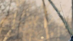 Los que rechazan la propuesta de ley afirman que 300 cocheros se quedarán sin trabajo.