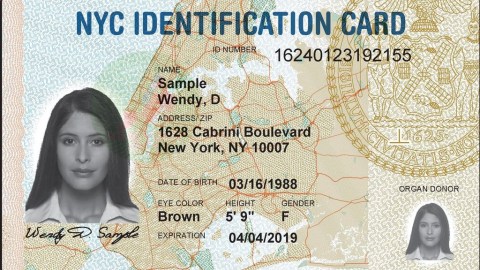 La tarjeta es similar a una licencia de conducir, con foto, nombre y dirección.