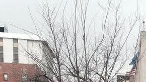 Más de 200 hacían fila esta mañana en Queens.