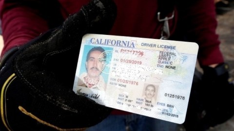 La nueva licencia trae el aviso: Límites Federales Aplican, en su cara principal.
