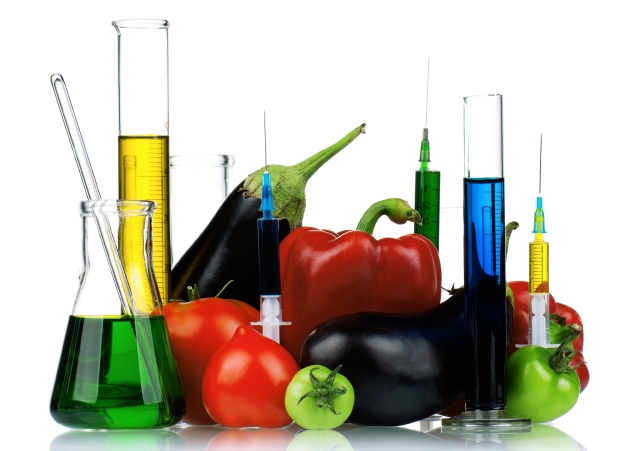 Los alimentos transgénicos son creados en un laboratorio mediante la alteración de la composición genética de una planta o de un animal.