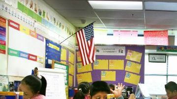 La ley se dirigía a eliminar la brecha de conocimientos en escuelas públicas.