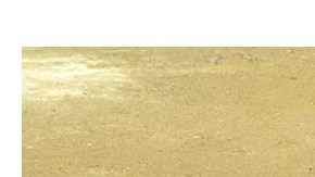 México vigilará el habitat de la vaquita marina con drones.