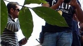 Los padres del pequeño Iván Alexander estuvieron presentes cuando fue encontrado el 4 de febrero.