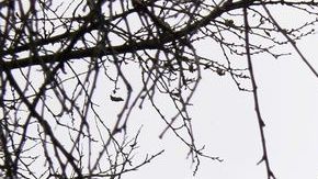 El poder argentino fue descendiendo por los nueve círculos infernales hasta caer en el último.