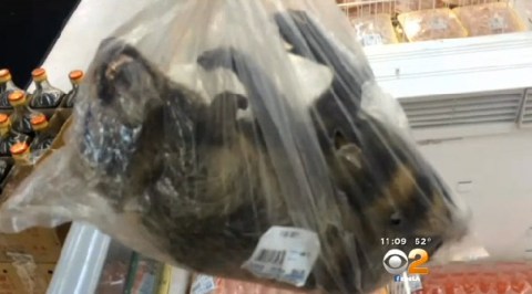 Autoridades de salud de Los Angeles investigan la venta de carne de mapache.