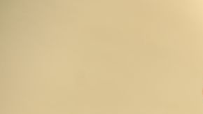 Leila y José Ramos llevan  65 años de casados.