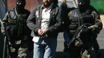 La Organización Beltrán Leyva y el Cártel de Sinaloa dirigieron durante la década de 1990 una red de transporte de drogas a gran escala.