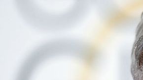 Ford, sangraba y presentaba cortes en la cabeza cuando fue atendido.