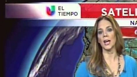 Nilda decidió abandonar su trabajo en Noticias Univision 41.