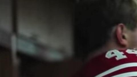 Borland: polémica decisión.