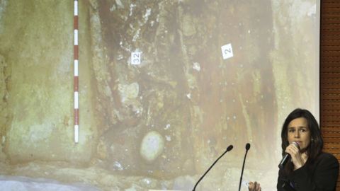 No hay discrepencias entre los investigadores sobre el hallazgo.