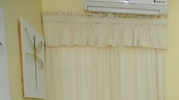 El grupo desarrolla un protocolo que será utilizado en puertos y aeropuertos del país para evitar la propagación de la plaga.