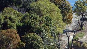 Una trinchera con vallas que cubren tumbas de desconocidos, víctimas de SIDA, en Hart Island, Nueva York.