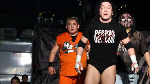 El Hijo del Perro Aguayo cayó desvanecido en una pelea contra Rey Misterio.