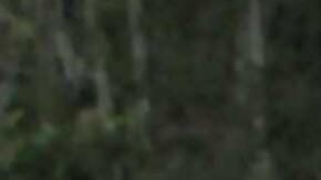 Miles de indígenas marchan hacia Quito.