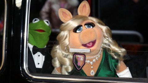 El año pasado la Rana René y Miss Piggy, o Peggy, presumían su amor.