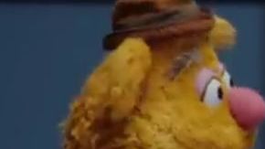 The Muppets estará ambientada en un caótico late night show.