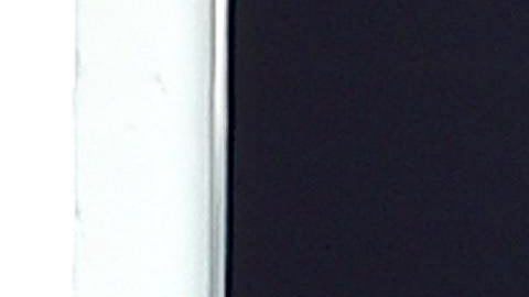 FRancisco en su mensaje dominical en El Vaticano.