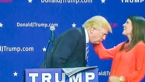 peluquin donald trump