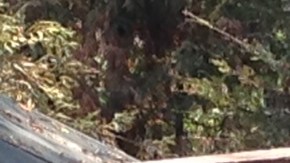 Ramón Ayala ayer, durante su conferencia de prensa en Los Ángeles.