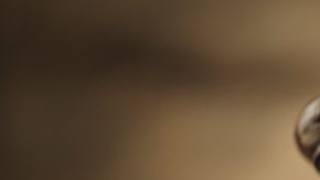 shutterstock_131760944 (mallete o gavel)