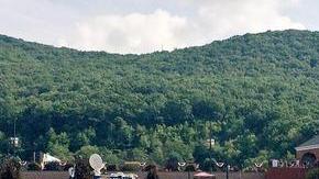 Una verdadera fiesta se vivió el domingo en el estadio Lamade de Williamsport, donde el equipo local no pudo con el poder japonés.