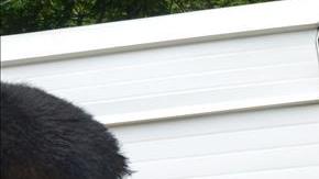 Crímenes en México.