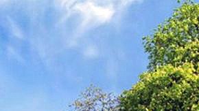 En el reino animal, el ritmo circanual regula factores como cuándo se aparean las distintas especies, cuándo emigran o cuándo hibernan.