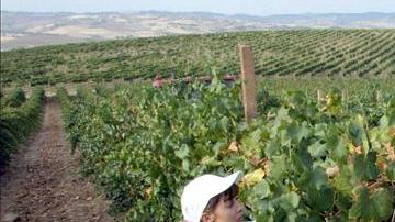 agricultura latinoamerica