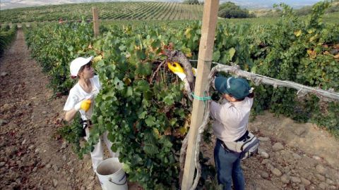 agricultura latinoamerica