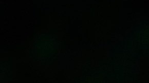 El Papa Francisco celebra la misa de canonización del misionero franciscano, de origen español, Junípero Serra.