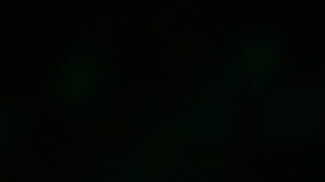 El Papa Francisco celebra la misa de canonización del misionero franciscano, de origen español, Junípero Serra.