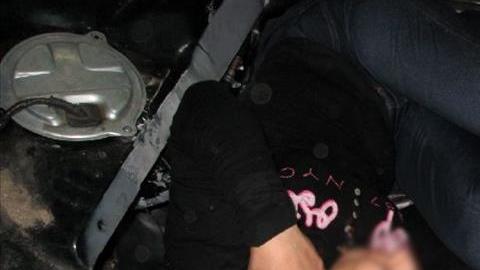cbp asiento inmigrante