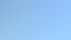 Delano 543D59FBD61C8D7EE60BF8B688D59C03_data