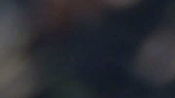 La popularidad de la presidenta Dilma Rousseff está en su punto más bajo.