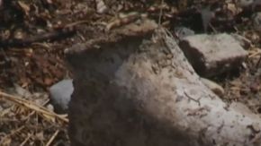 en-mexico-encuentran-una-fosa_655x438