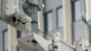 Grupos proinmigrantes en una manifestación a favor de los programas de acción ejecutiva. Foto: Getty