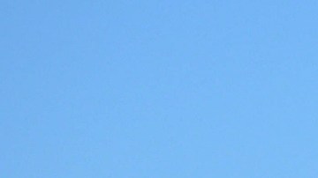 Piden precaución en la zona boscosa