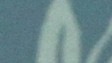 El neurocirujano retirado Ben Carson