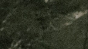 El Papa se dirigió a la Asamblea General de las Naciones Unidas.