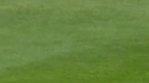 El béisbol se topó con la política