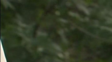 joe bieden elecciones trump