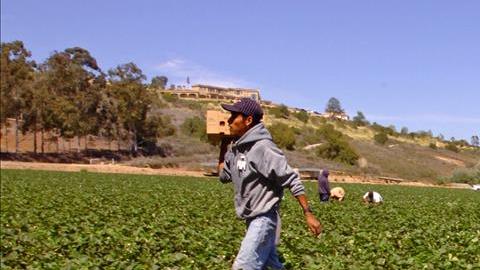mexico campesinas demanda abuso