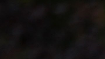 crear y monitorear un sistema de "intervención temprana" del NYPD. Getty Images