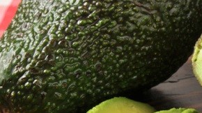 aguacate