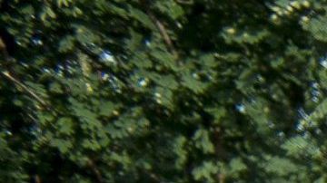 La Policía húngara contiene a los inmigranets con agua a presión.