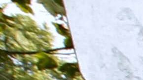 MIGRANTES EN LA FRONTERA DE LA UE